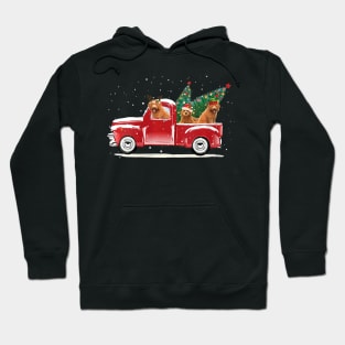 Christmas Truck Pick Up Tree Funny Dog Lover Hoodie